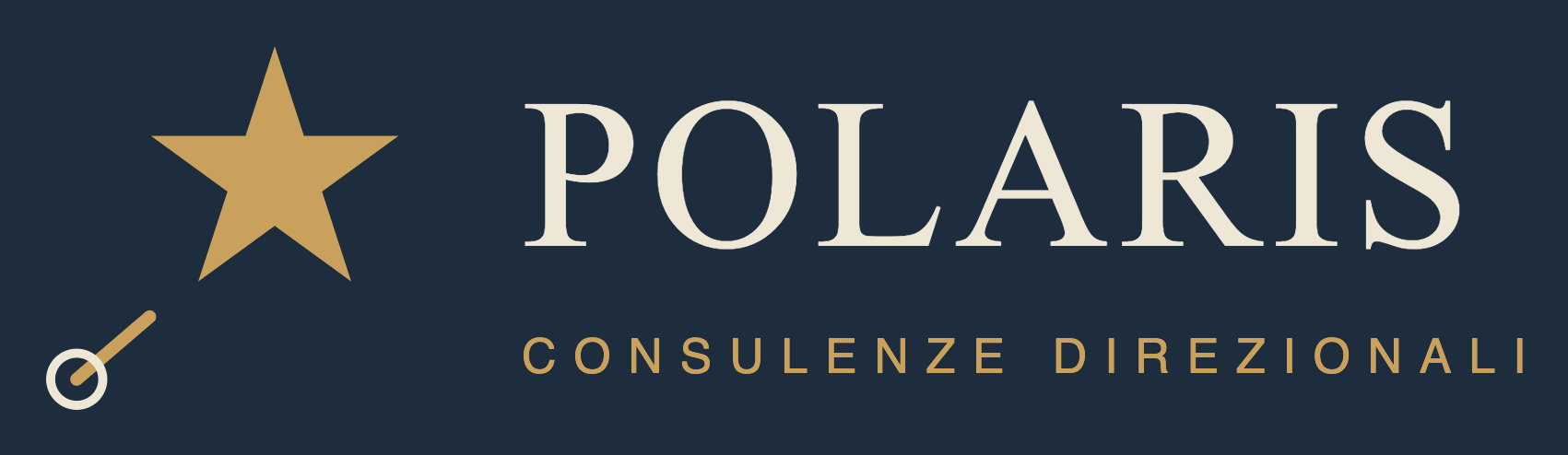 POLARIS Consulenze Direzionali